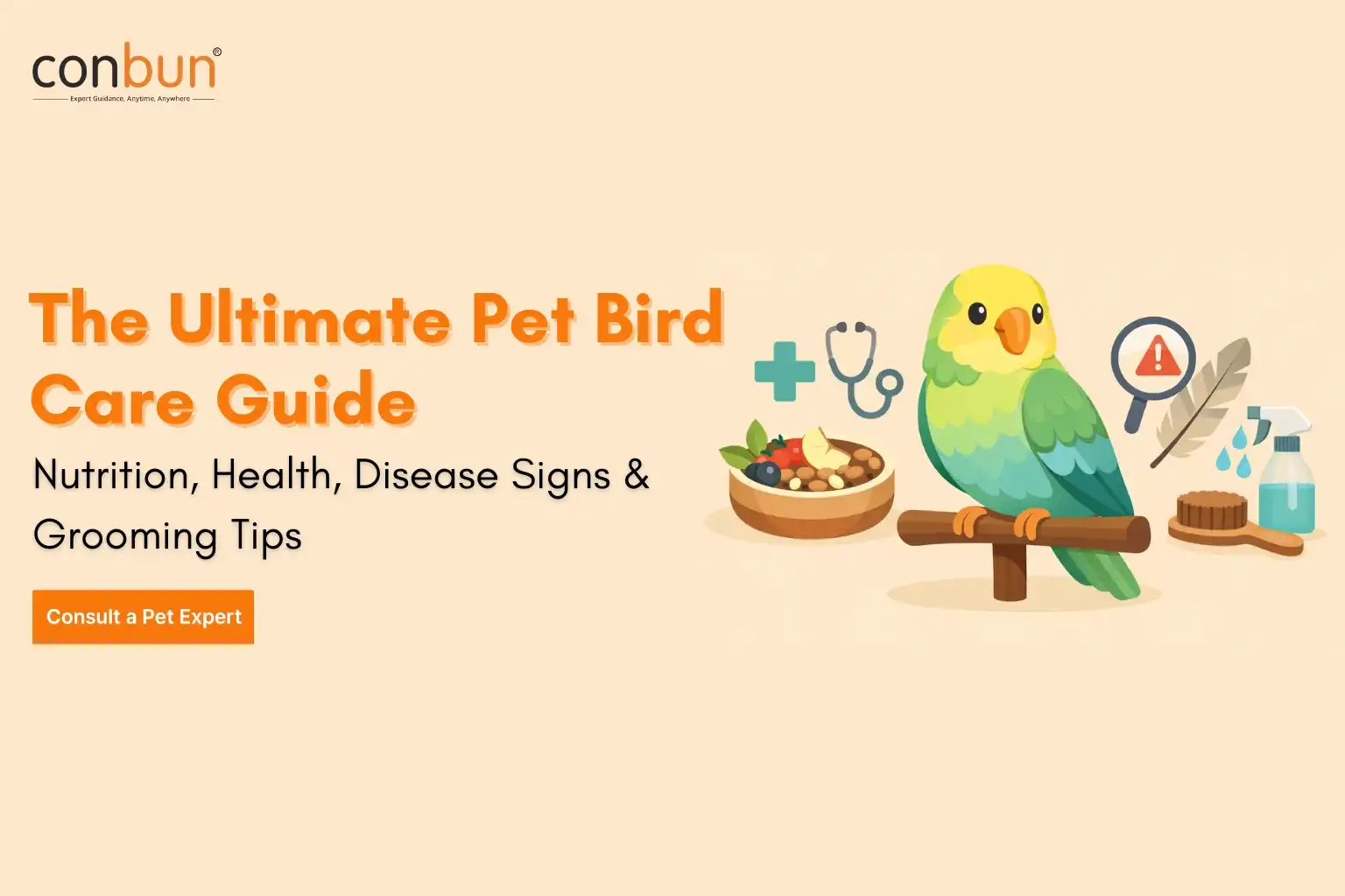 The Ultimate Pet Bird Care Guide: Nutrition, Health, Disease Signs & Grooming Tips